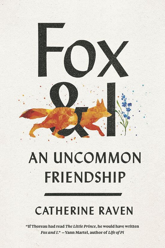 fox and i an uncommon friendship fox and i an uncommon friendship
