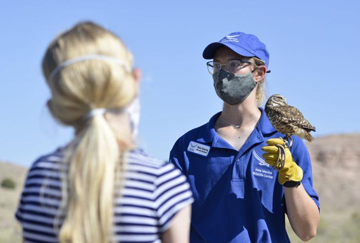 People flocking to New Mexico Wildlife Center Local News