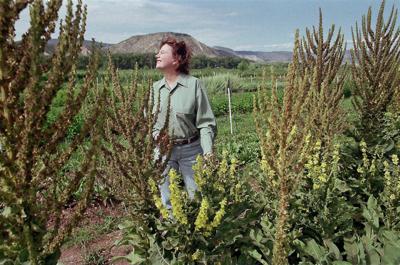 After 20 Years Marsha Mason Will Bid Farewell To Abiquiu Farm