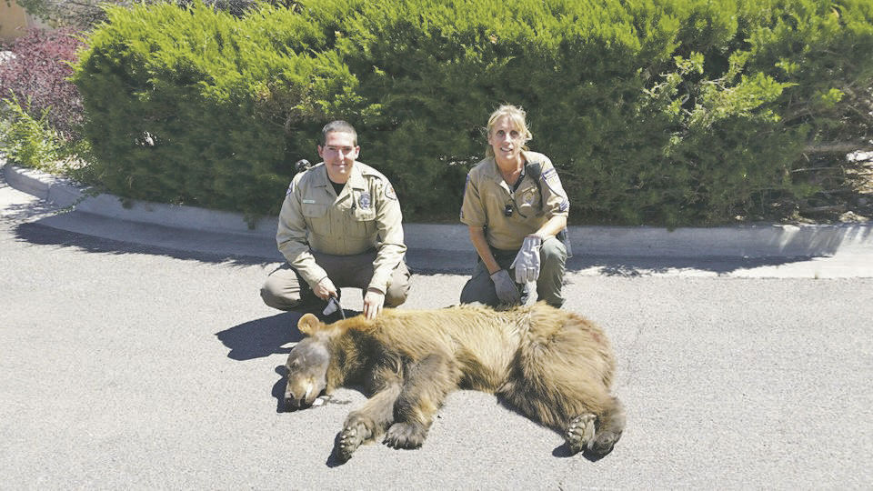 Dangerous situations to bear in mind in Santa Fe Local News