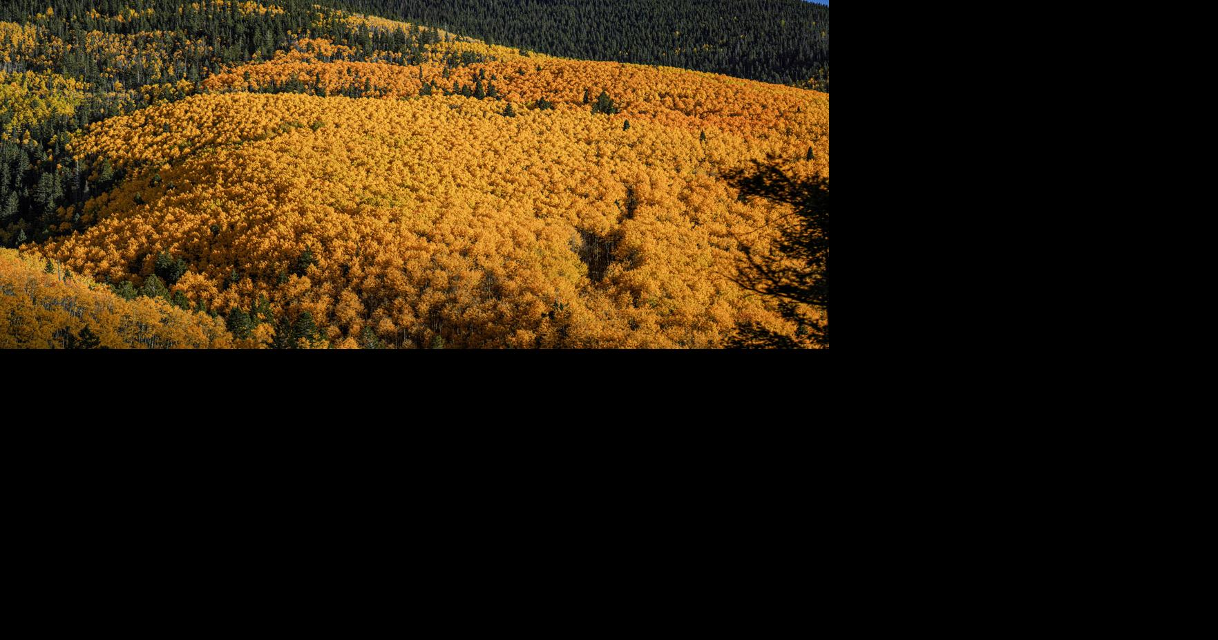After windy start, mild fall weather week ahead for New Mexico | Local ...