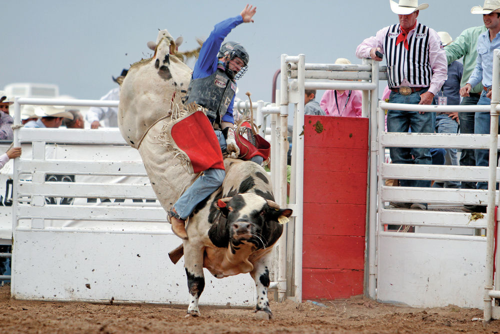 Rodeo de Santa Fe saddles success with growth Sports