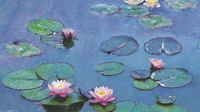 31 RA Monet film at Lensic