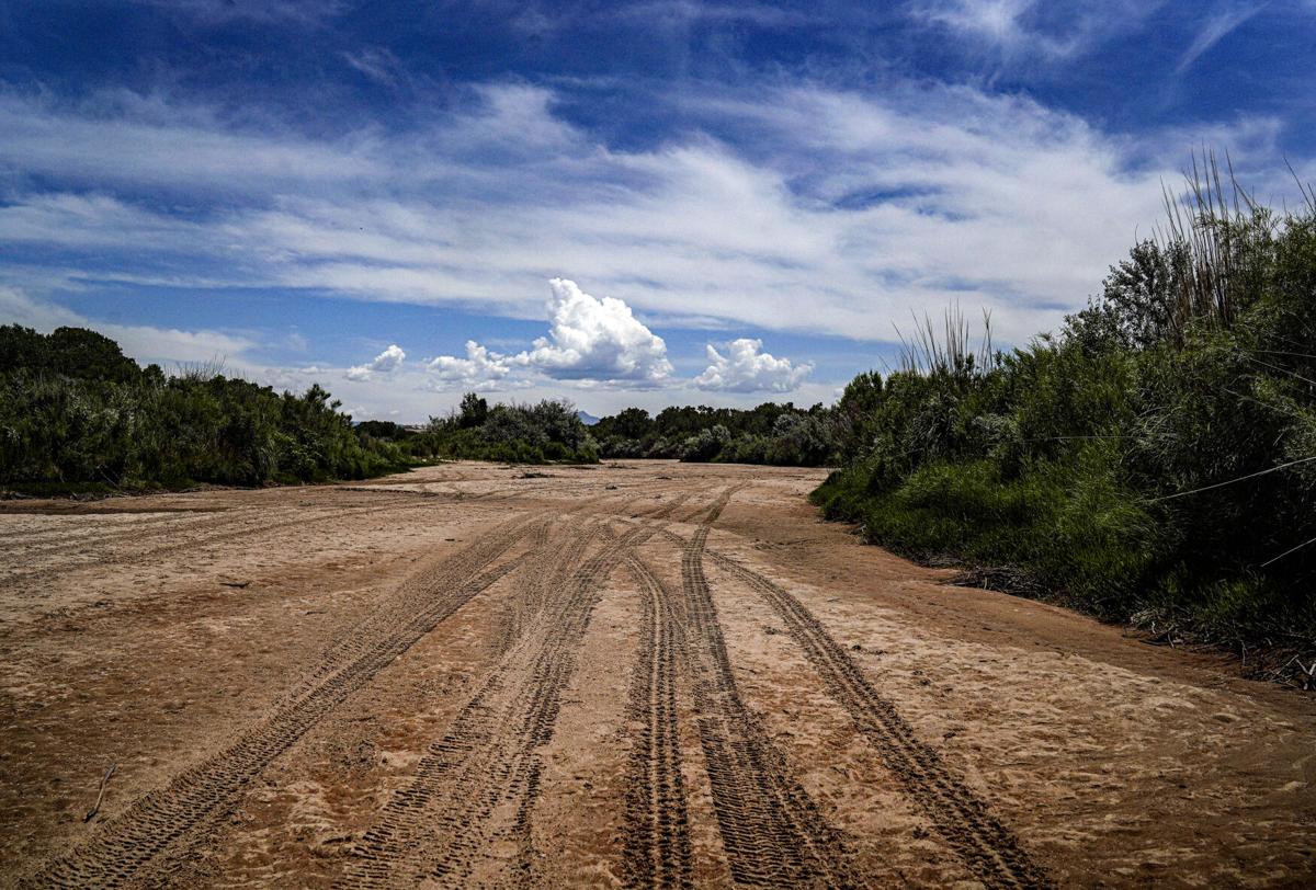 Bone-dry bosque: Rio Grande stops flowing in Albuquerque | Local News |  santafenewmexican.com