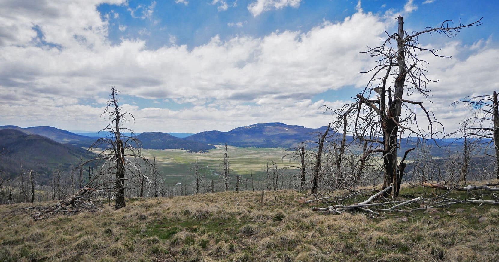 Bandelier updating fire management plan - Vimarsana News