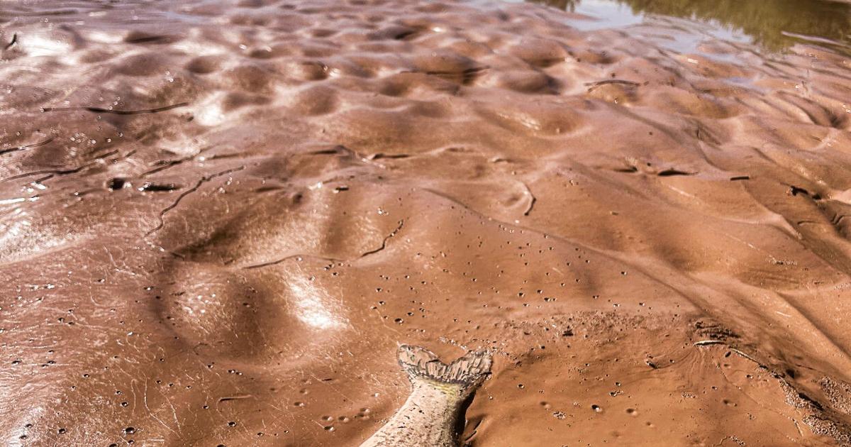 Scorcher Alert: New Mexico Braces for Extreme Heat – Safety Tips from Health Experts