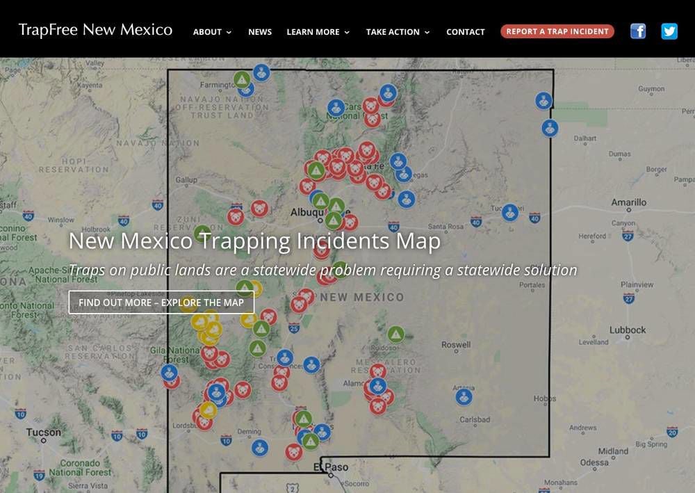 Coalition puts out online map of illegal trapping in N.M.