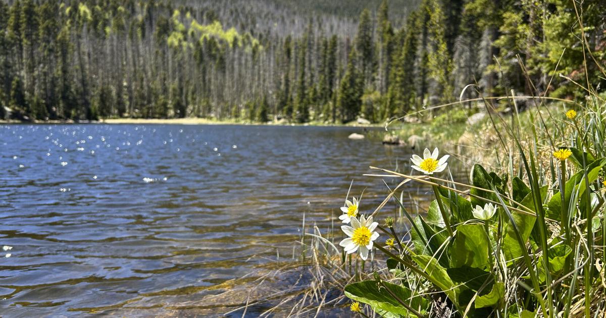 Earth, Wind and Fire: Off-roading the bumpy path to the