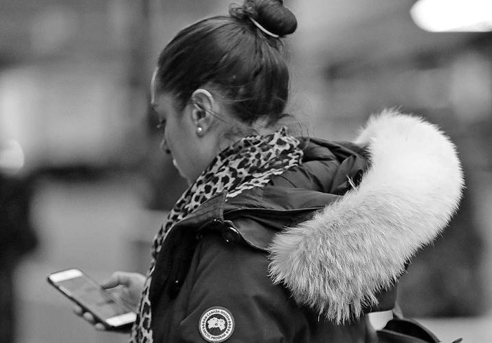 Coyote fur is in big demand thanks to popular parkas | News