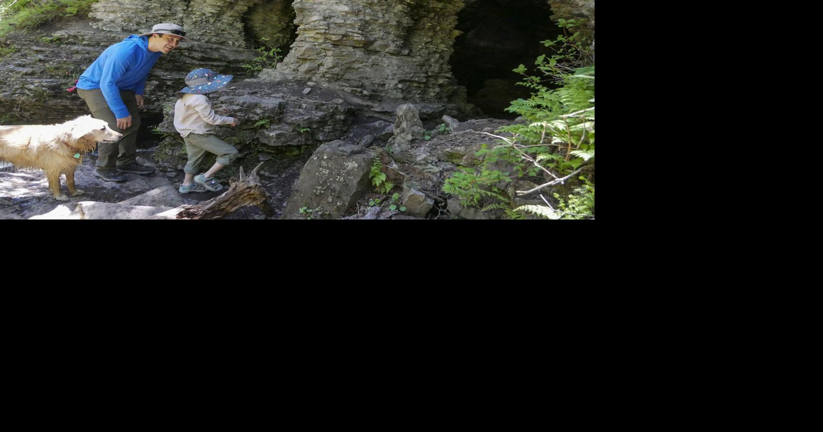 Deep sea fossils, vibrant wildflowers on display along Cave Creek Trail in the Pecos Wilderness