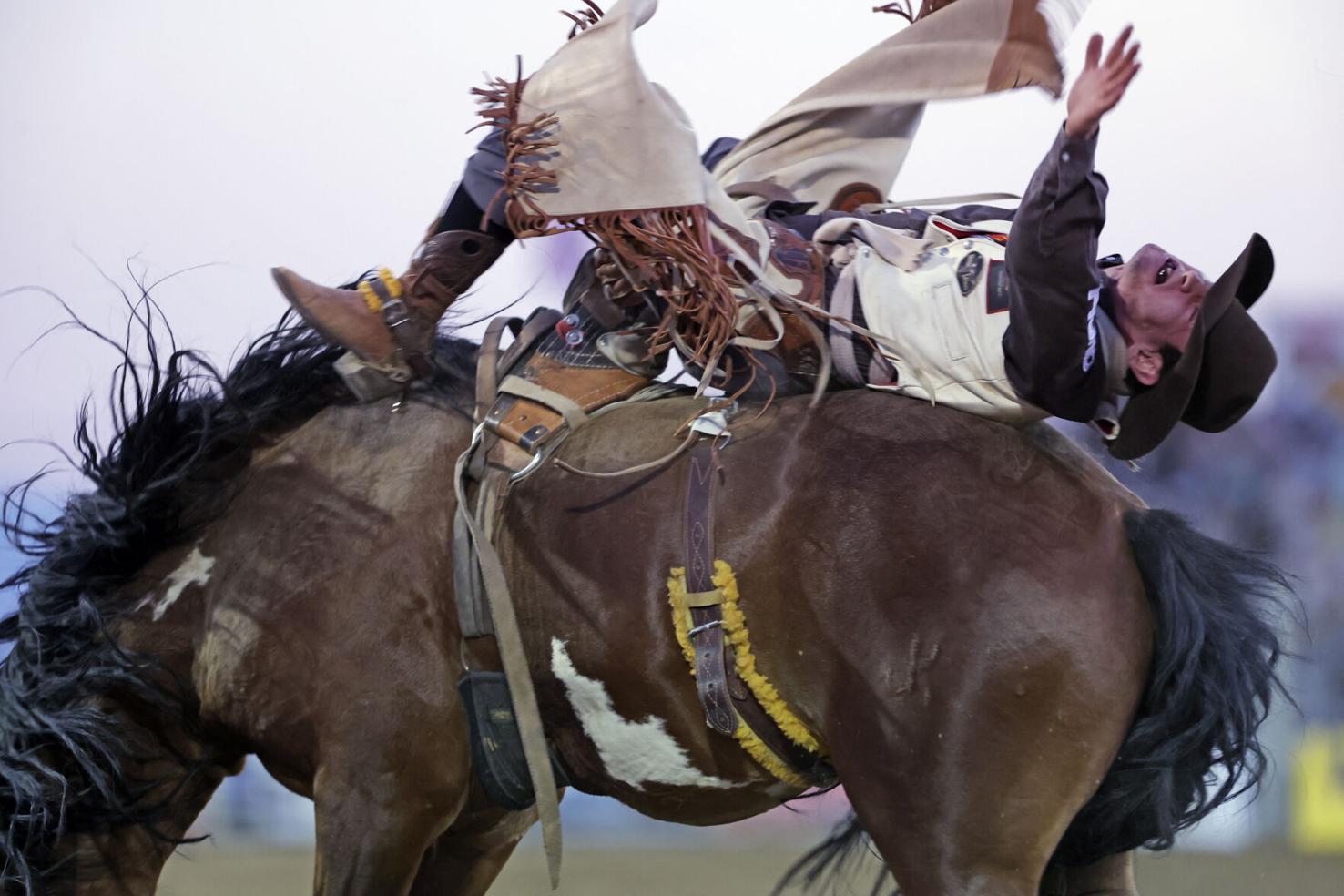 Rodeo de Santa Fe begins Wednesday Sports