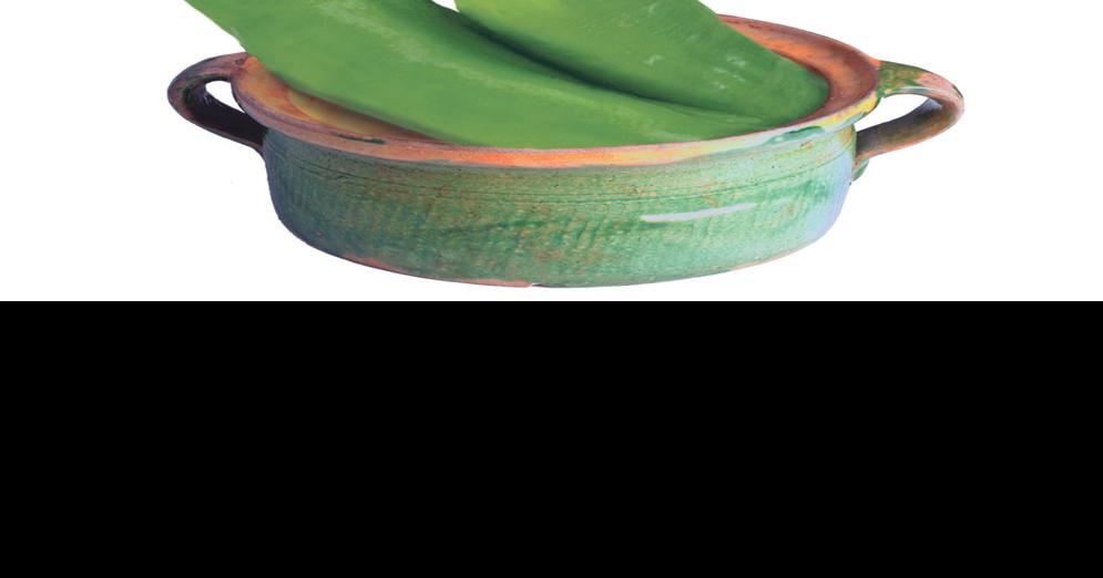 Heat Wave In Search Of Sterling Green Chile Stew Reviews Santafenewmexican Com