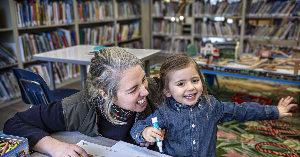 Rural libraries go by the book in a hunt for help | Education ...