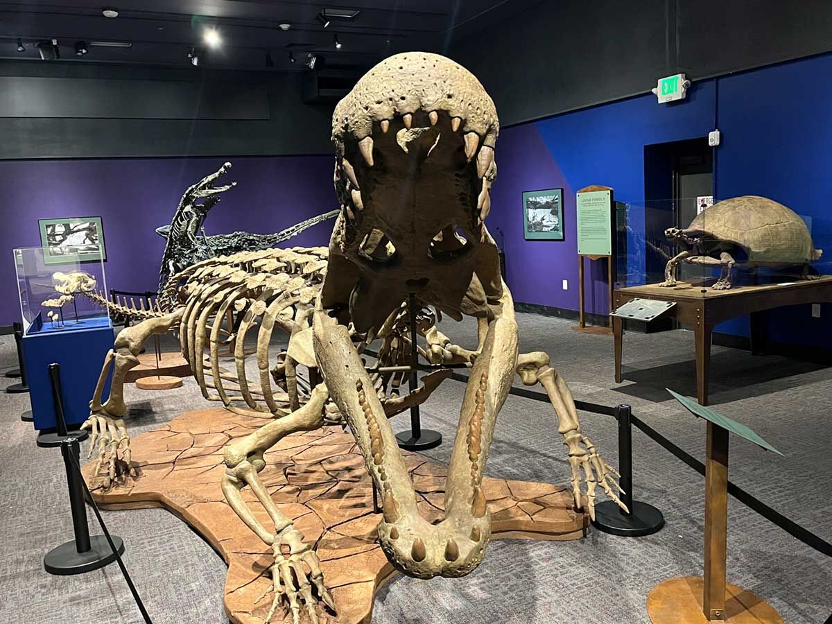 New Mexico Museum of Natural History and Science Reopens April 4