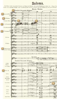 First page of Salome score