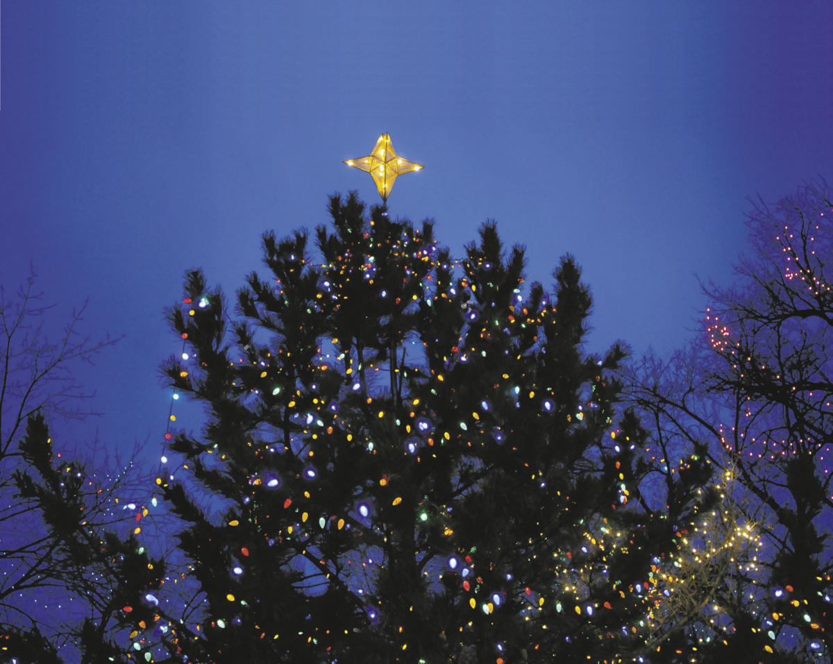 christmas tree permits available for santa fe national christmas tree permits available for santa fe national