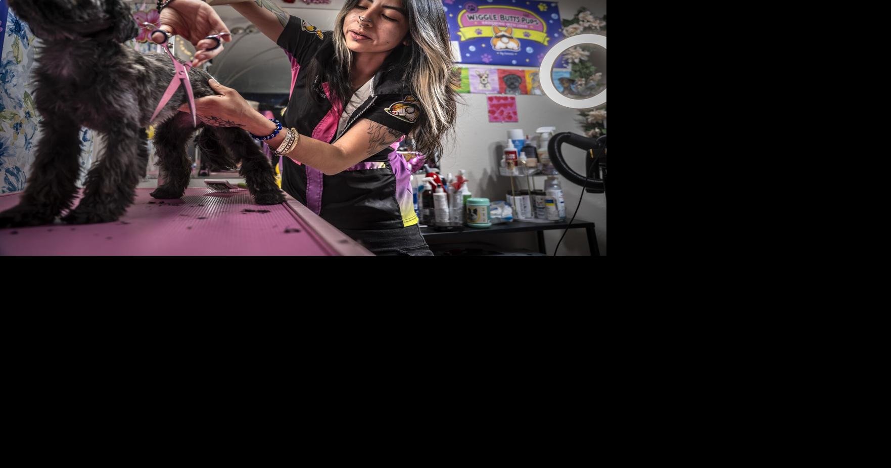 'Art comes in all forms': Santa Fe dog groomer enters national art competition