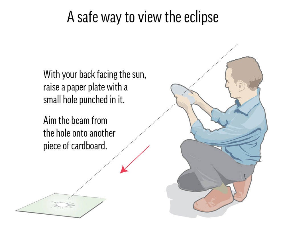 how to see the eclipse with paper plate