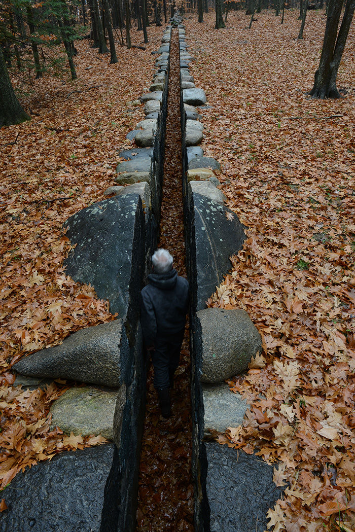 The andy goldsworthy project