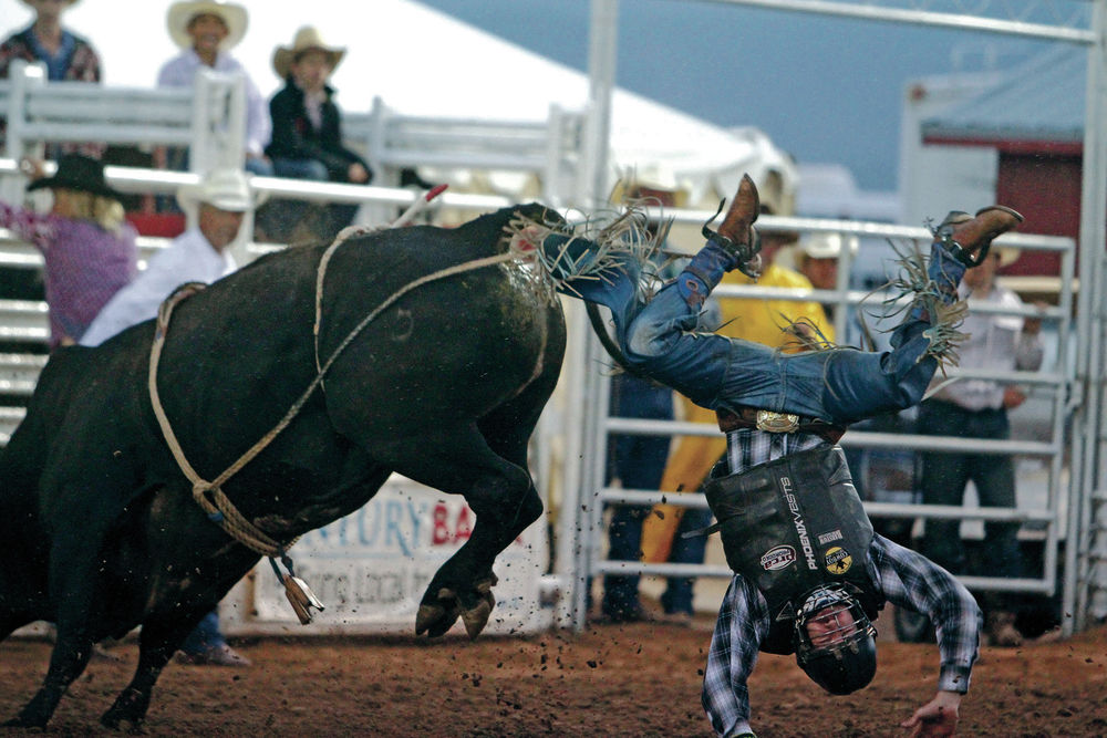 Rodeo de Santa Fe continues to ride growth trend Sports