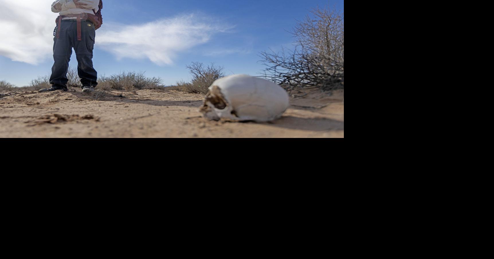 An unlikely act of protest: Searching the desert for dead migrants ...