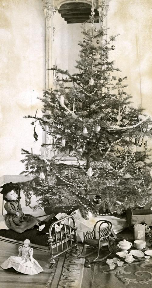 Christmas Tree Pasatiempo Santafenewmexican Com