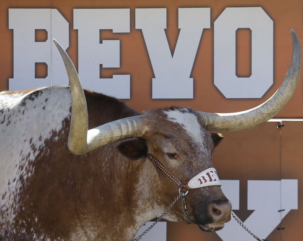 Kansas Bans Bevo at Black Friday Longhorns Game