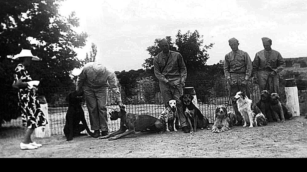 Santa Fe S Dogs Of War Local News Santafenewmexican Com