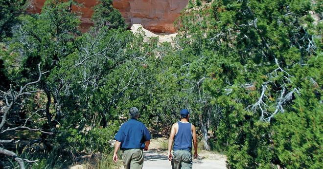 Forest Service hopes renovation will usher in 'new era' for Echo Amphitheater - Vimarsana News