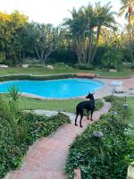 PalmSprings 12-21.jpeg