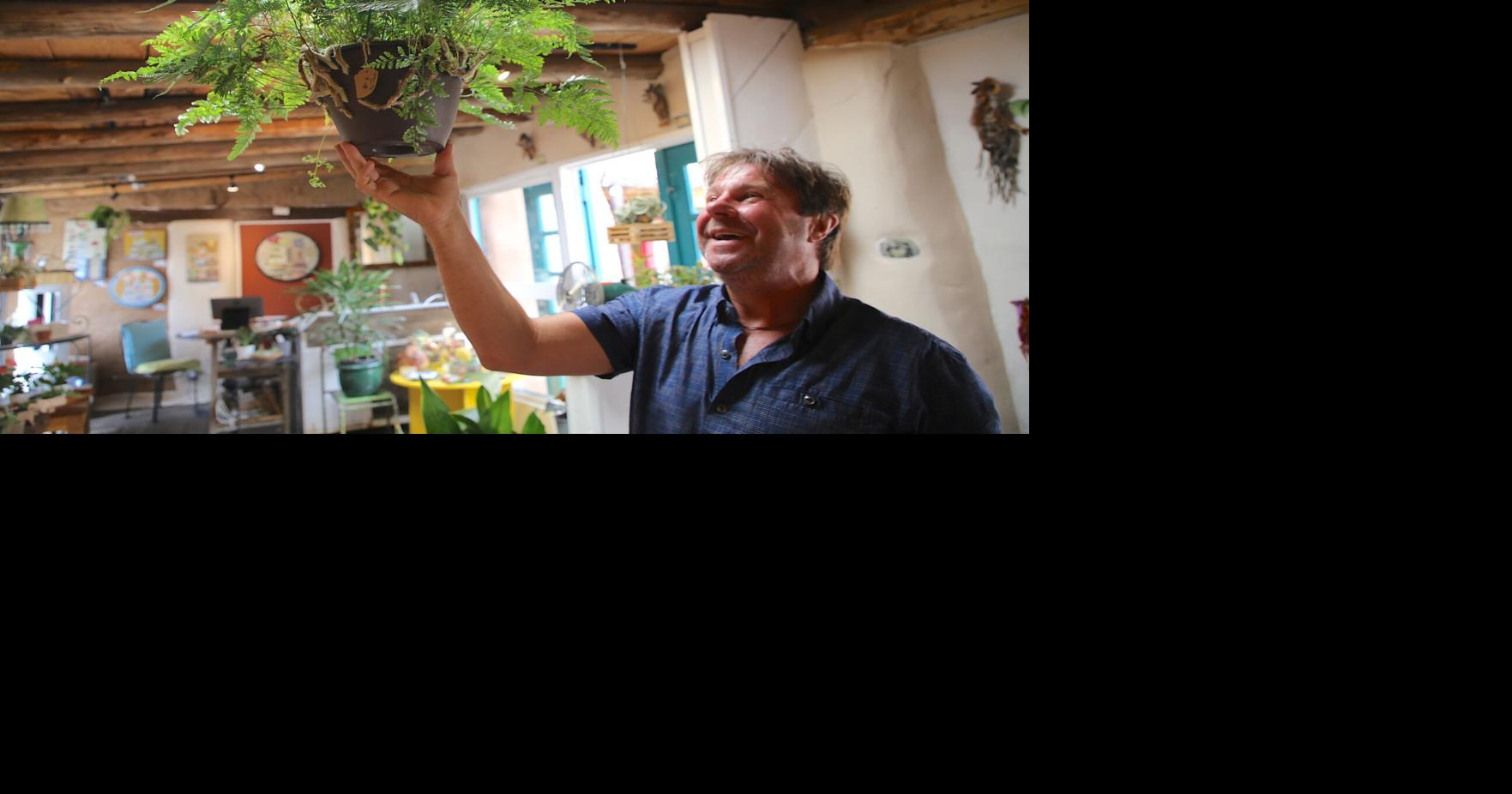 Xylem & Phloem, Artful Plants owners bring new twist to Canyon Road ...