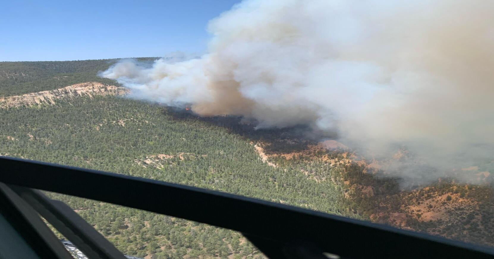 Indios Fire near Coyote grows as forecasters predict dry, windy weekend - Vimarsana News