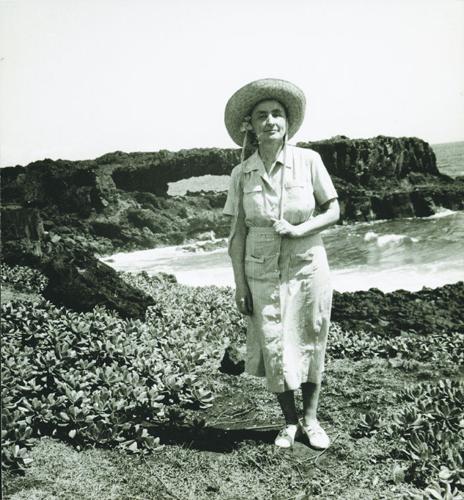 Pineapple expressionism: Georgia O’Keeffe and Ansel Adams in Hawaii ...