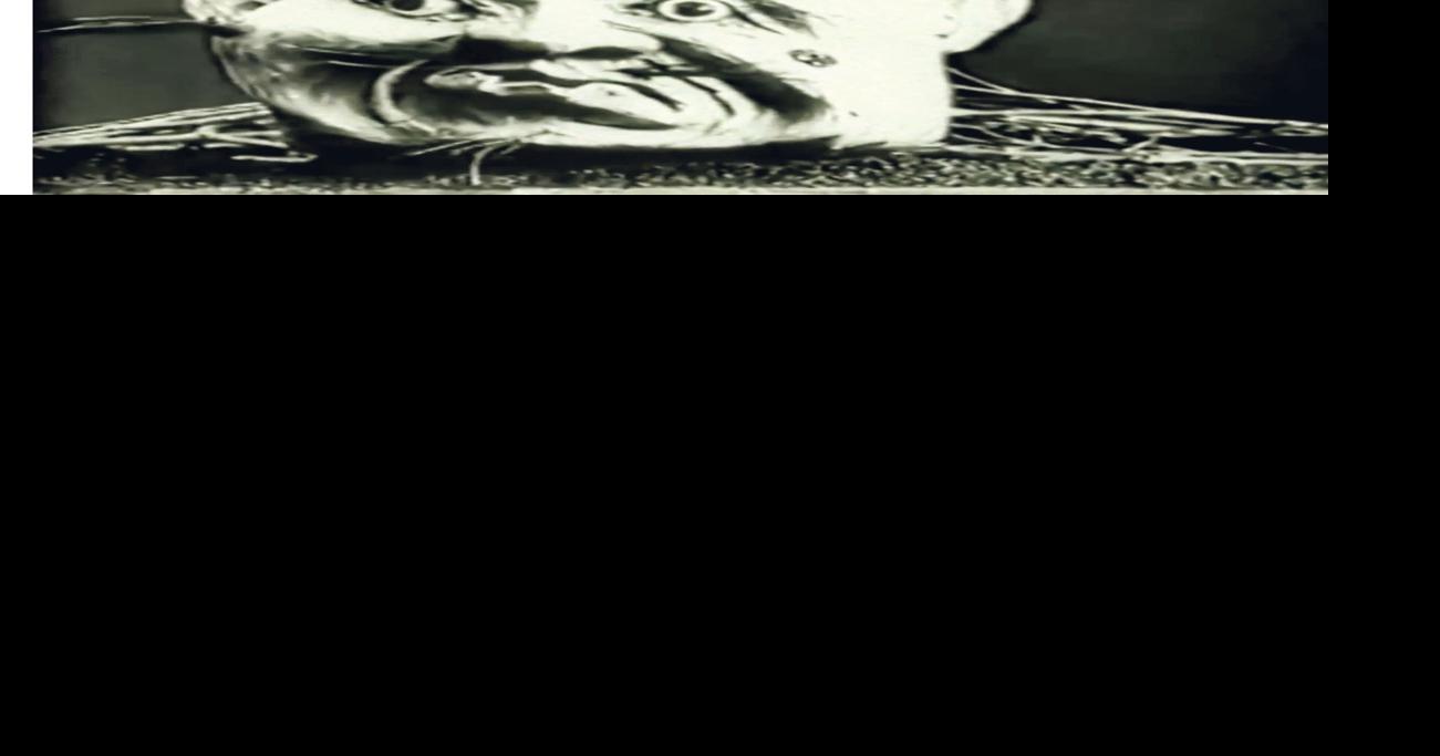 silhouette de chaussures de jazz