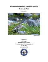 White-tailed ptarmigan recovery plan