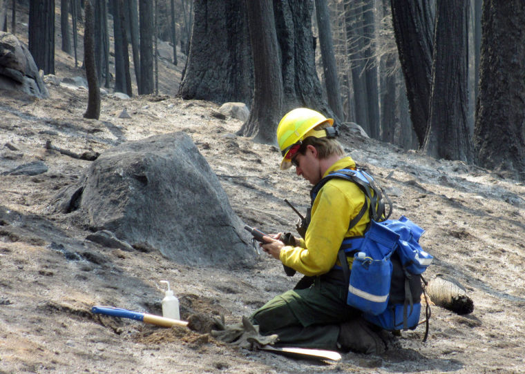 Nearly 40 percent of Rim Fire land a moonscape