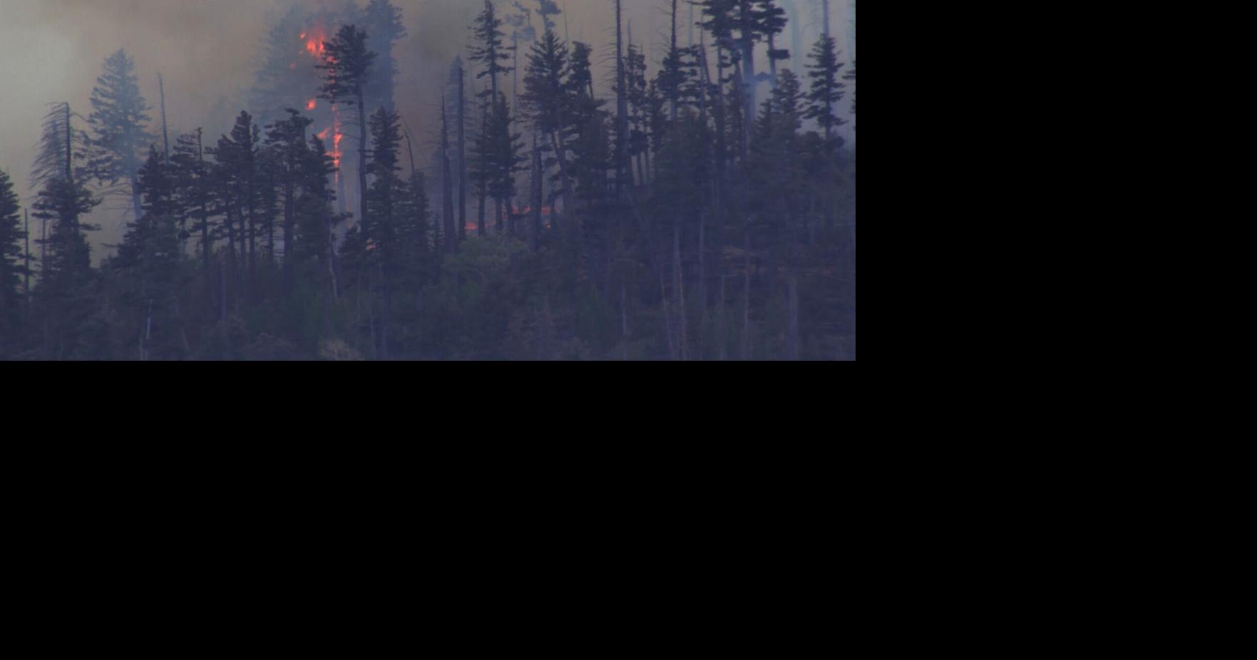 Military jamming may have disrupted medical plane's GPS before it crashed  near Ruidoso