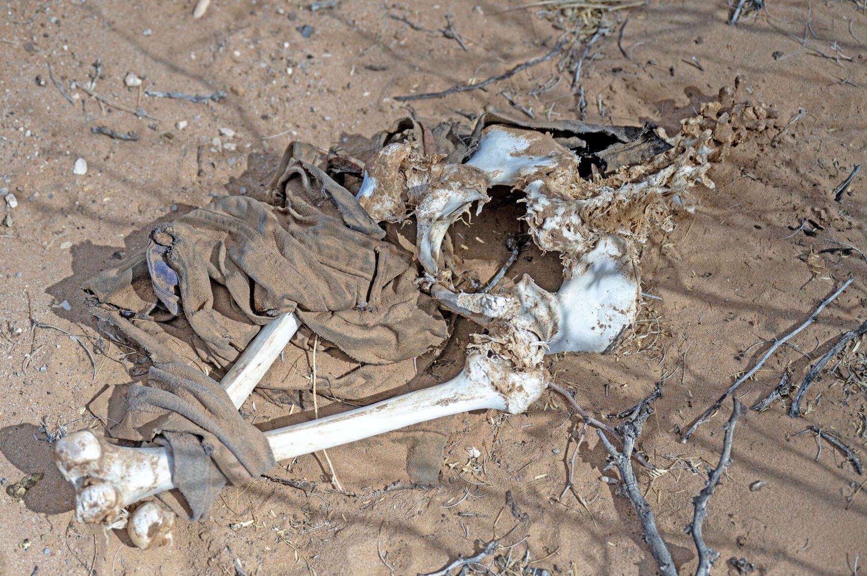 An open graveyard': Skeletal remains lie unrecovered in New