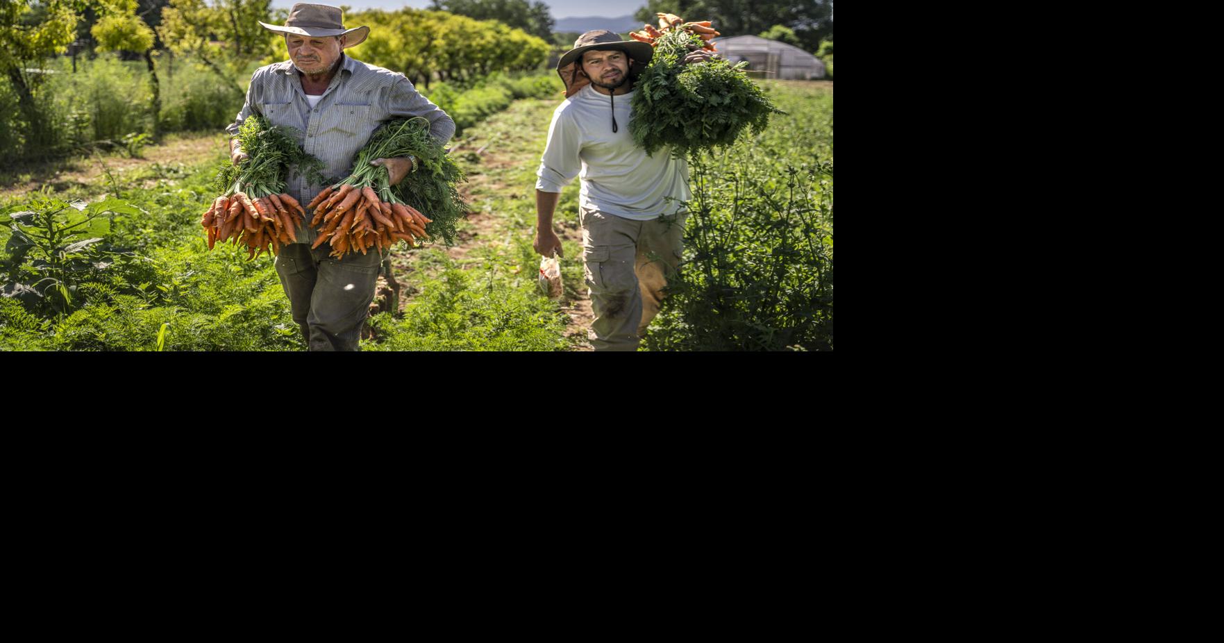 'My dad is like my hero': New Mexico farmers, ranchers reflect on following in their fathers' footsteps