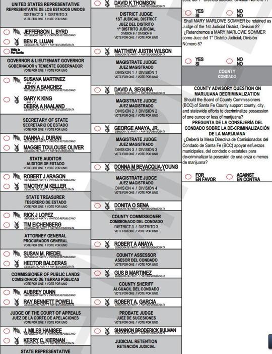 Get Your Sample Ballots Politics