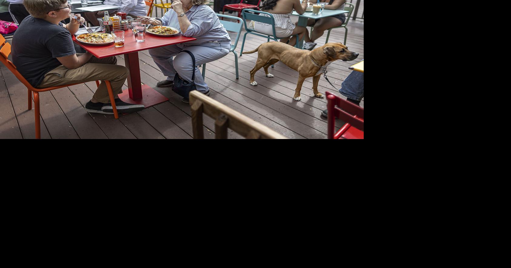 Patio to go? Downtown Plaza Café's city code compliance in question as lease renewal looms