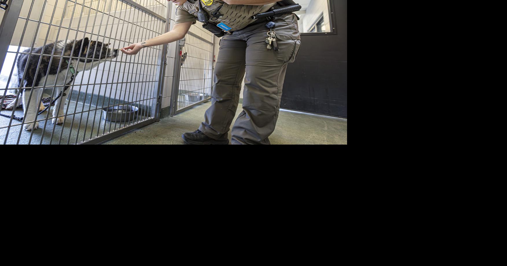 Contract woes: City of Santa Fe still operating under emergency arrangement with animal shelter