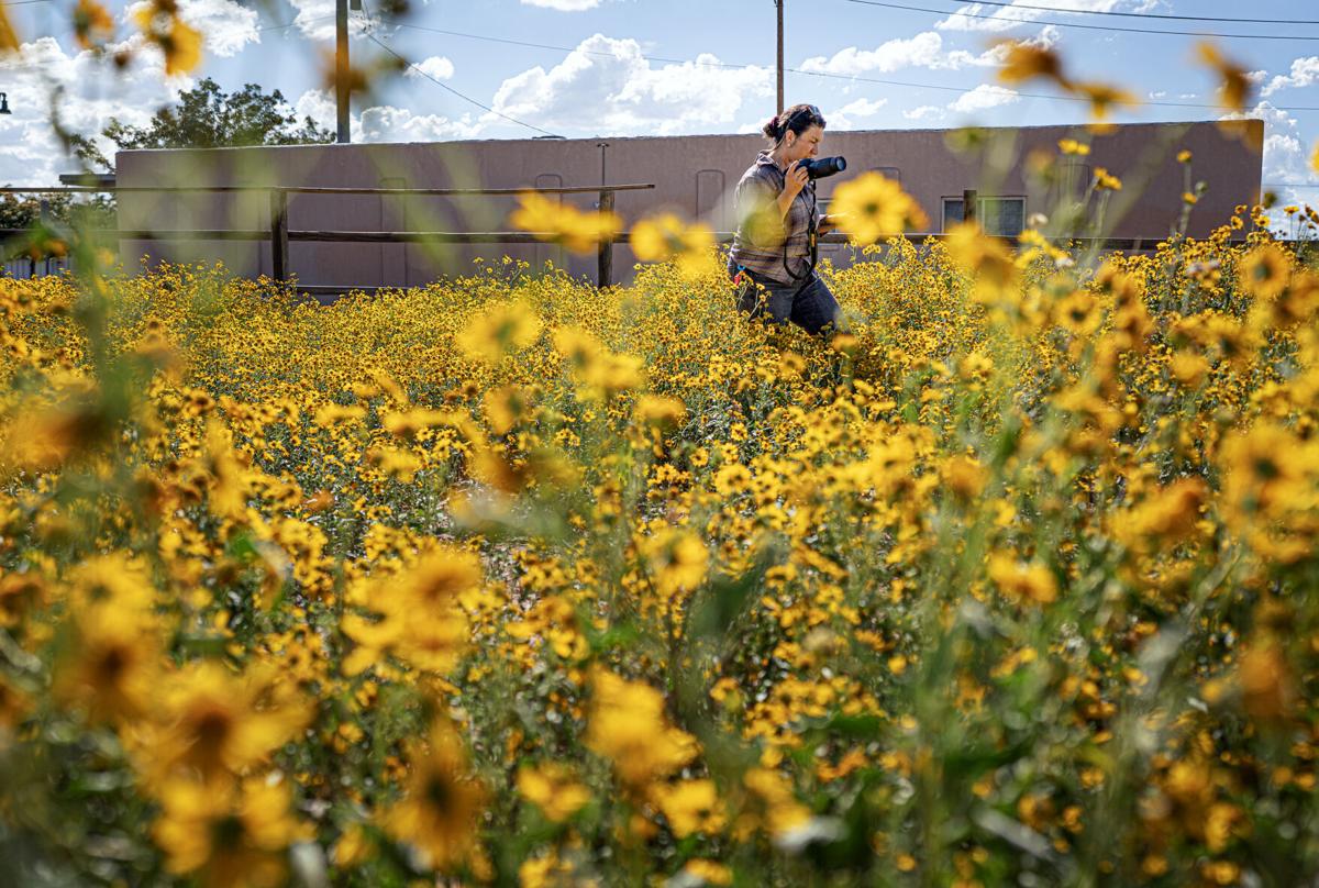 Taylor Swift writes in Tumblr post that her mother, Andrea, is battling  cancer | The Blade, image size:1200x808