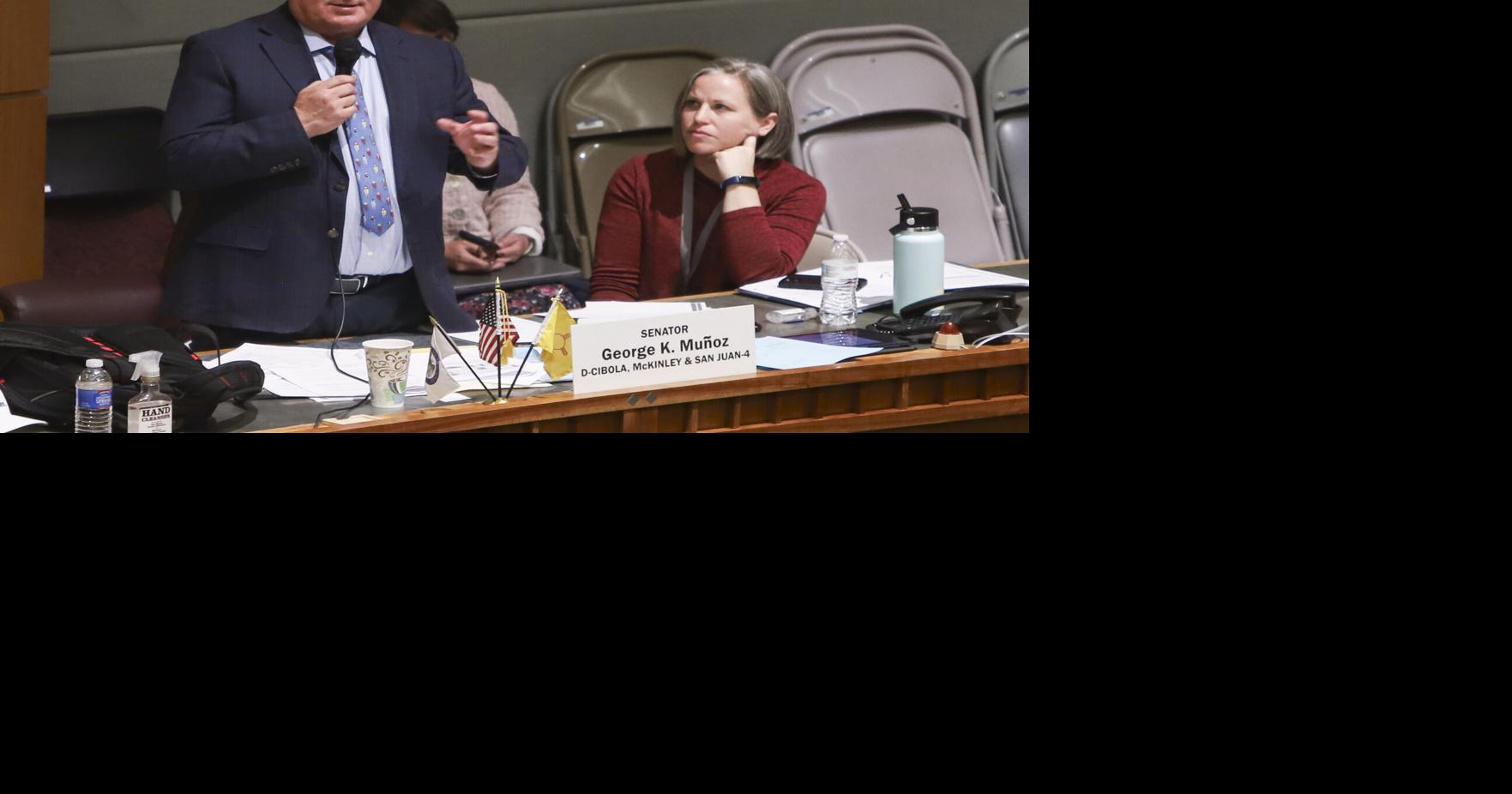 Senate budget hawk botched move against DA | Local News ...