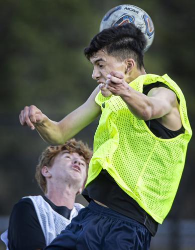 Demons' optimism more guarded after historic run | Sports ...