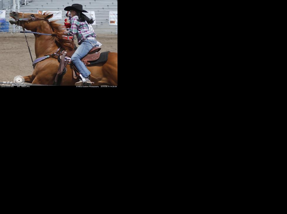 Zia Regional Rodeo returns to Santa Fe this weekend | Sports ...