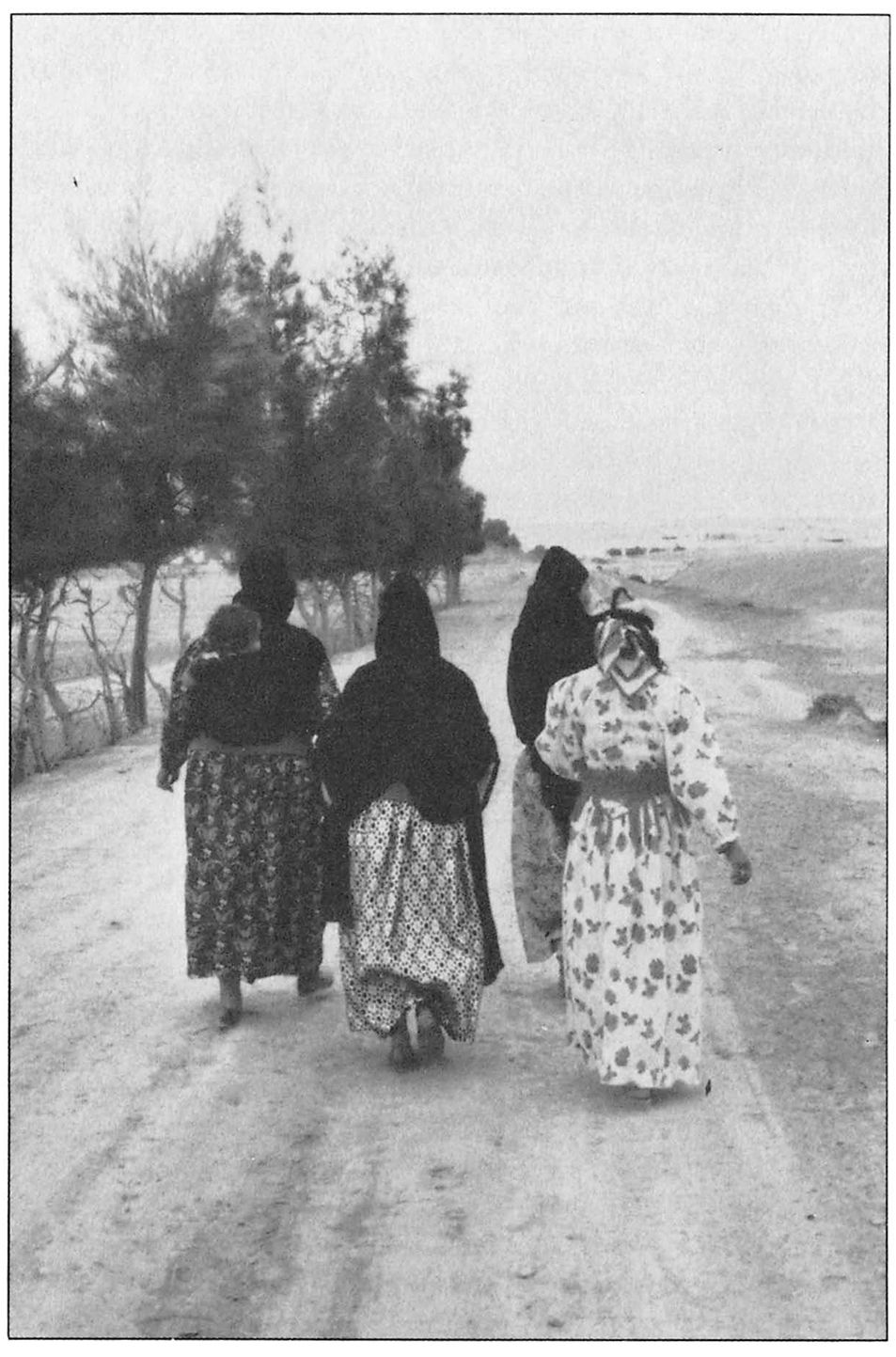 veiled sentiments Coupon: rent veiled sentiments honor and poetry in a bedouin society 2nd edition (9780520224735) and save up to 80% on textbook rentals. veiled sentiments Coupon: rent veiled sentiments honor and poetry in a bedouin society 2nd edition (9780520224735) and save up to 80% on textbook rentals.