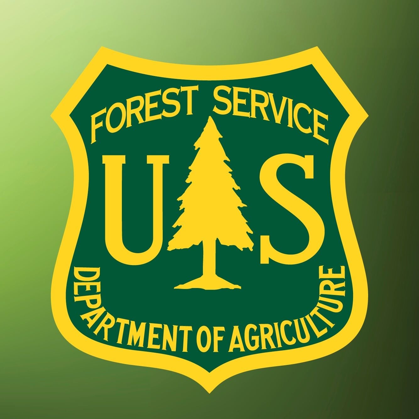 Forest Service, Santa Fe firefighters combat small blaze south of ski area