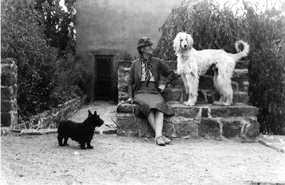 14 Random Act_The Hounds of El Delirio