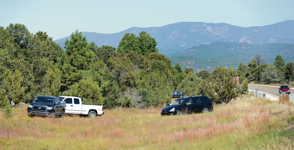 Piñon seedseekers enjoying a plentiful harvest this year Local News